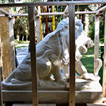 Lion statue in crate