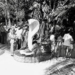 Black and white photo of Serpentarium